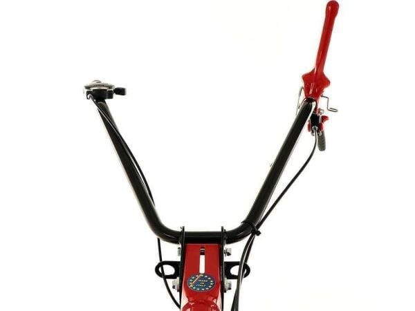 Eurosystems M210 Benzinli Çayır Biçme Makinesi