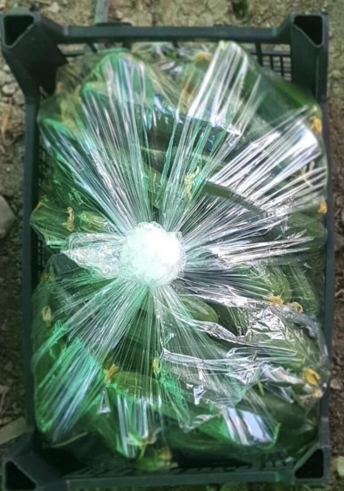 Körüklü Salatalık ve Patlıcan Poşeti İstanbul Sera 500 Adet