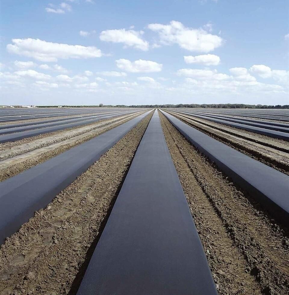 Malç Naylonu Çilek İstanbul Sera 250 Metre 50 Mikron En 140cm