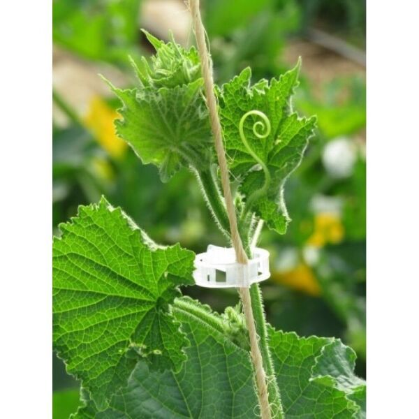 Cmr Domates Klipsi Şeffaf 25mm 500 Adet