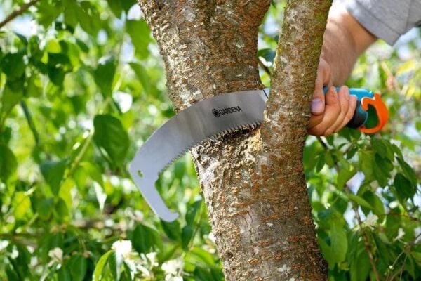Gardena 8738 Kıvrımlı Bahçıvan Budama Testeresi