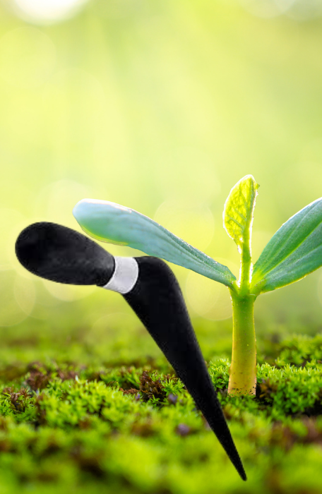 FİDE - TOHUM DİKME